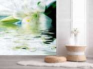 Фотообои Лилия белоснежная - 2