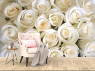 Фотообои Розы - 4