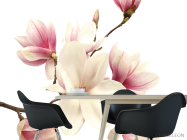 Фотошпалери магнолія - 1