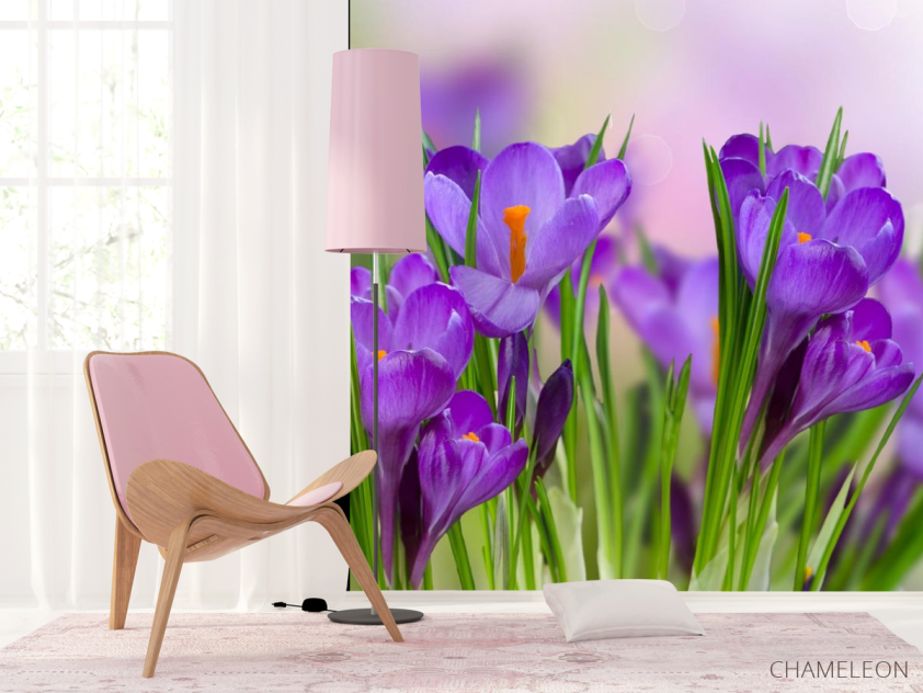 Фотошпалери фіолетові квіти в траві - 4