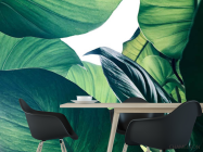 Фотошпалери зелене листя - 1