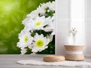 Фотообои Белоснежные цветы - 2