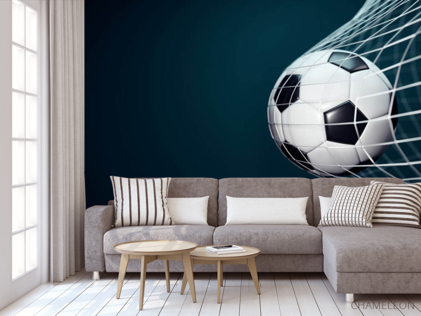 Фотообои Мяч в воротах - 3