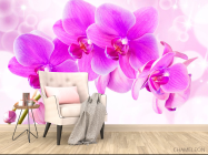 Фотообои Орхидеи - 4