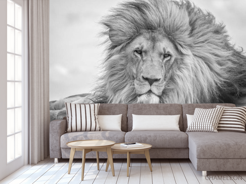 Фотообои лев - 3