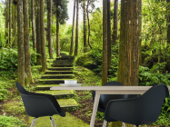 Фотошпалери зелені сходи в лісі - 1