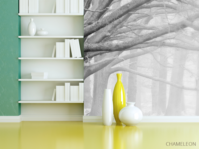 Фотошпалери великі сірі дерева - 3