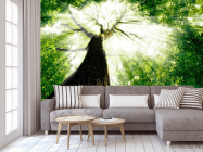 Фотообои Дерево, свет - 3