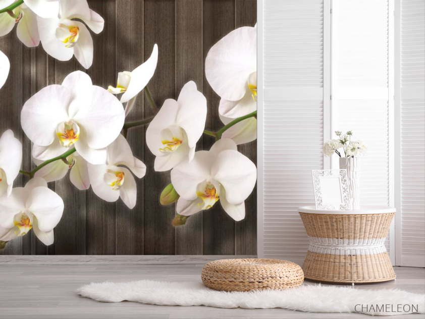 Фотошпалери Білі орхідеї на дереві - 2