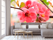 Фотообои Цветок яблони - 3