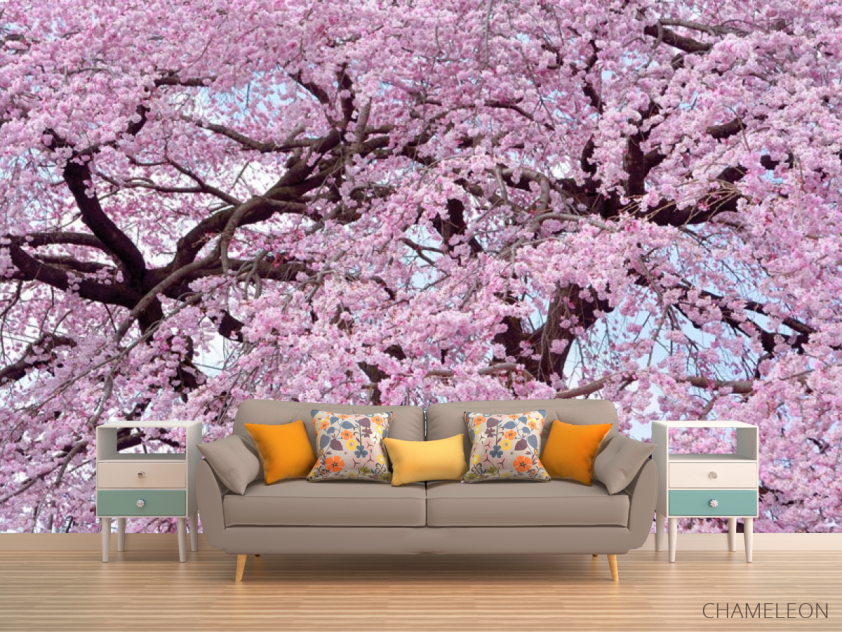 Фотообои Цветение сакуры под потолок - 1
