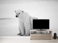 Фотообои Медведи полярные - 2
