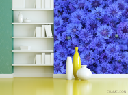 Фотошпалери синій Остеоспермум - 3