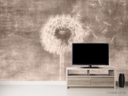 Фотообои Одуванчик сепия - 2