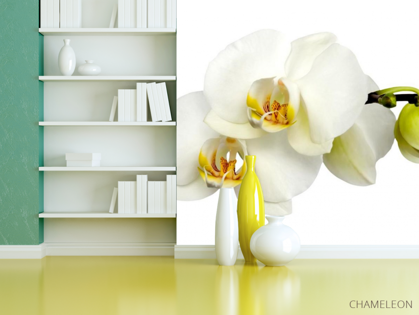Фотошпалери Орхідеї жовто-білі - 3