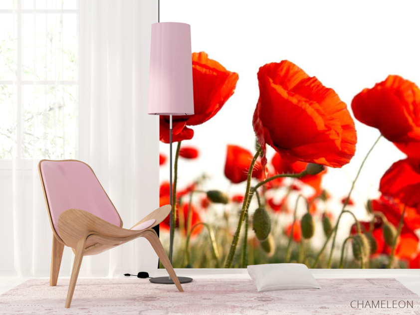 Фотошпалери Маків червоних полі - 4