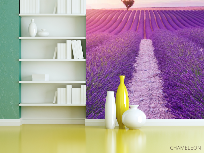 Фотошпалери лавандове поле - 3
