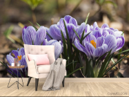 Фотообои Крокусы фиолетовые - 4