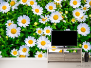 Фотообои ромашки и зелень - 2