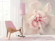 Фотошпалери Макро квітка - 4