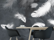 Фотошпалери білі пір'я на сірому - 1