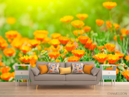 Фотообои Оранжевые чернобривцы - 1