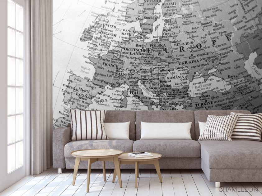 Фотообои Подробная карта - 3