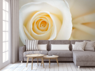 Фотообои кремовая роза - 3