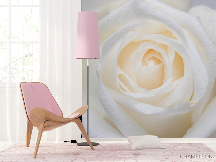 Фотообои Распустилась белая роза - 4