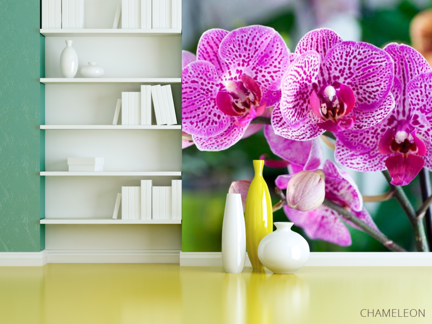 Фотошпалери Орхідеї в рожеву цятку - 3