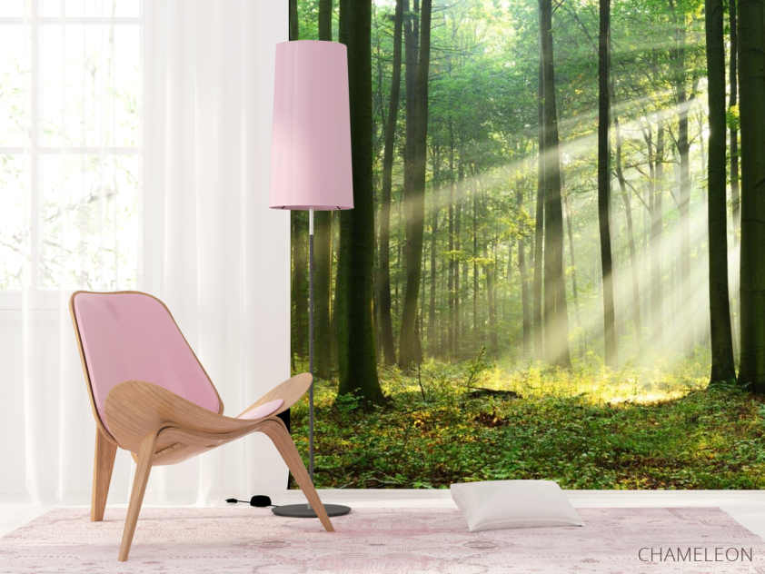 Фотошпалери сонячні промені в лісі - 4