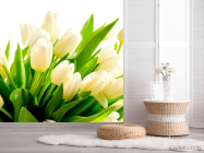 Фотошпалери Тюльпани - 2