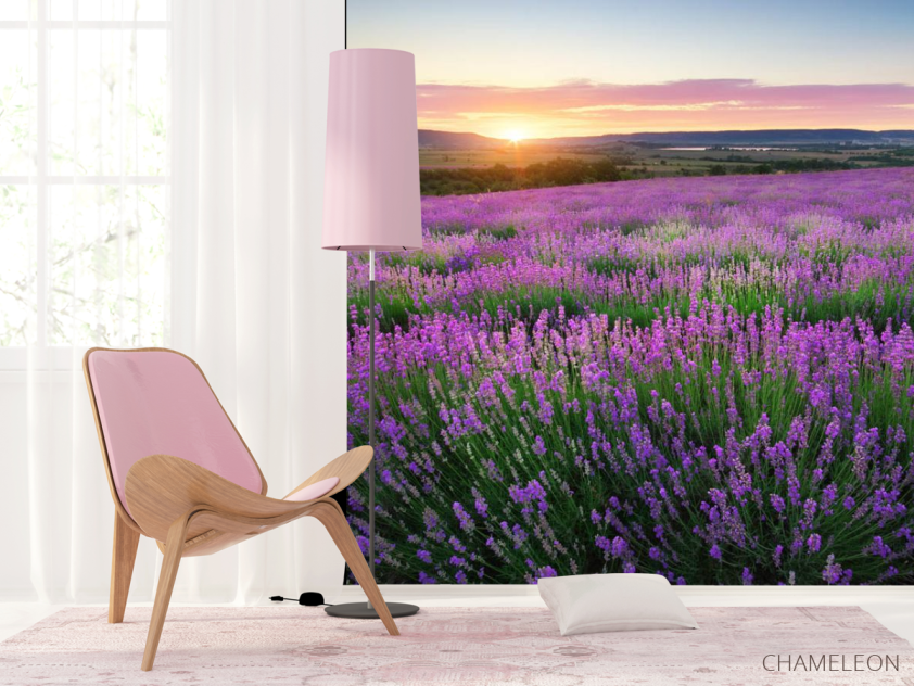 Фотошпалери Лавандове поле - 4