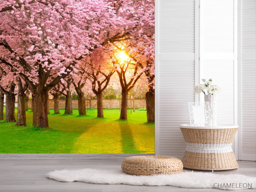 Фотошпалери Квітучі вишні - 2