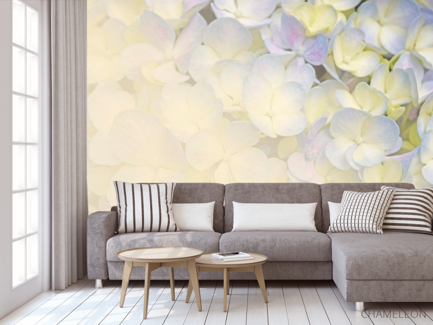 Фотообои Цветы - 3