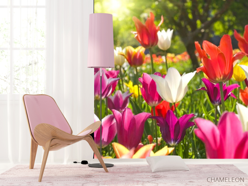 Фотошпалери Гострокінцеві тюльпани - 4