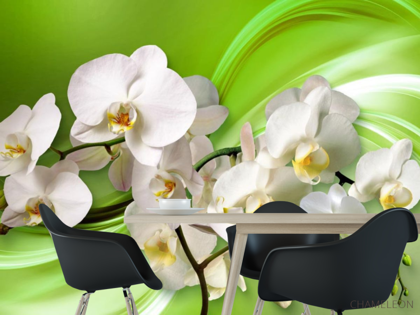 Фотошпалери 3д орхідеї - 1