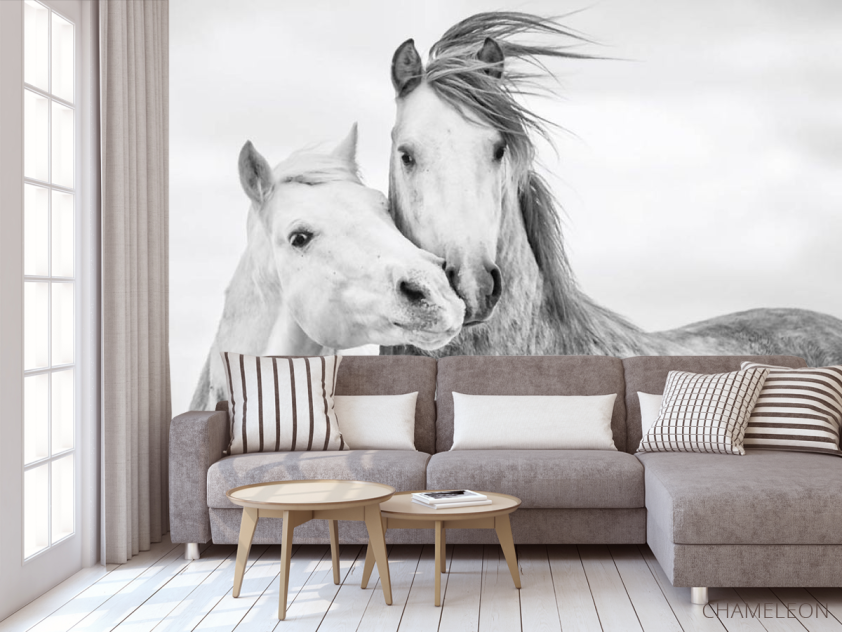 Фотообои лошадки - 3