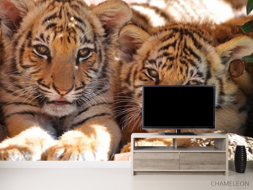 Фотообои Тигрята - 2