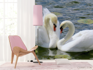 Фотошпалери два лебедя - 4