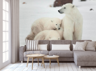 Фотообои Семья белых медведей - 3