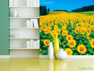 Фотошпалери Поле соняшників - 3