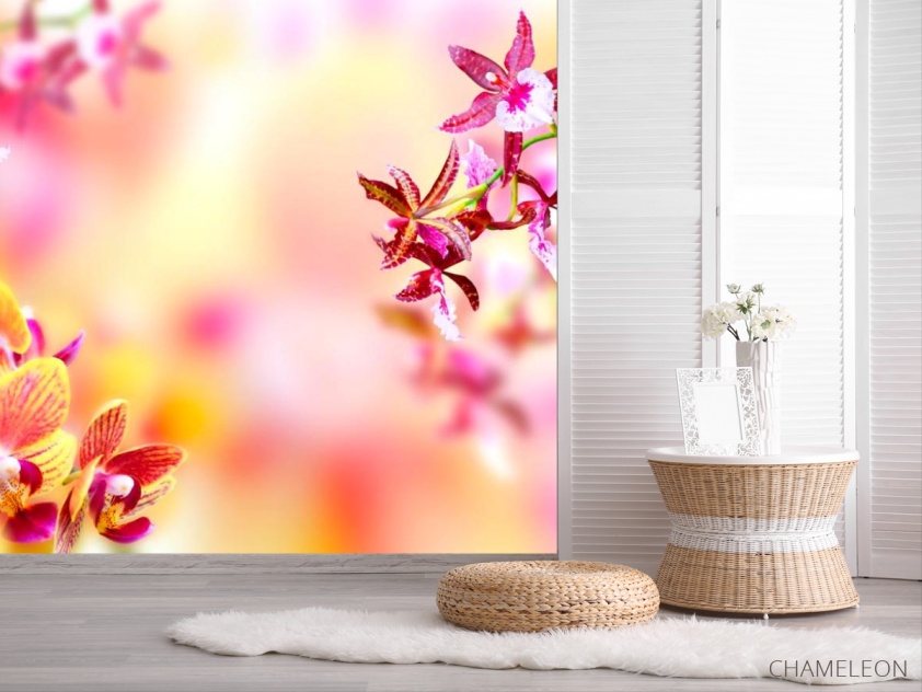 Фотошпалери Ніжні квіти - 2