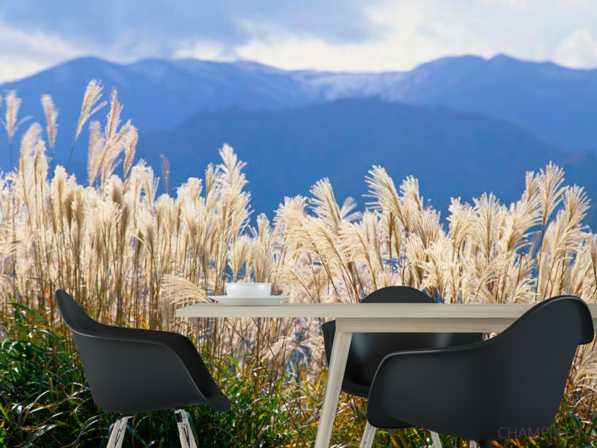 Фотошпалери Біля болота - 1