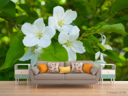 Фотообои Чубушник - 1