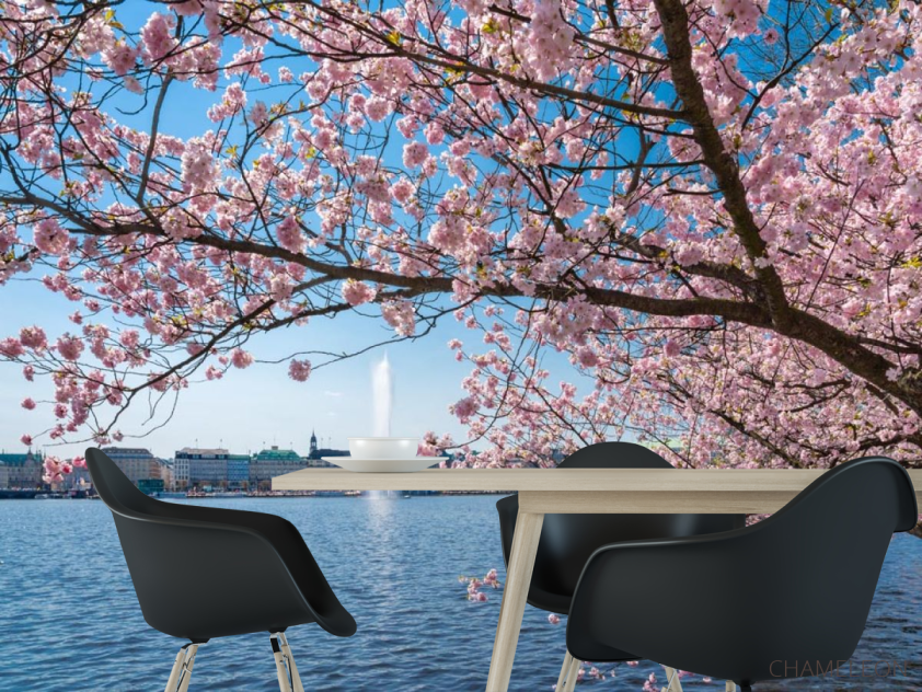 Фотошпалери сакура над річкою з фонтаном - 1