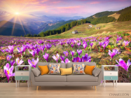 Фотообои весна, горы - 1