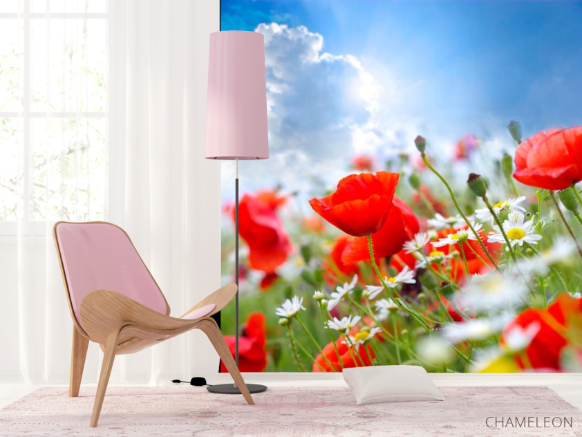 Фотошпалери Маки та ромашки - 4