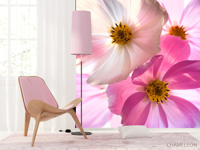 Фотообои Оттенки шиповника - 4