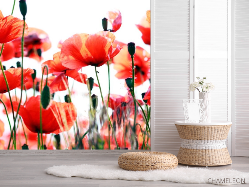 Фотошпалери Степові маки зацвіли - 2